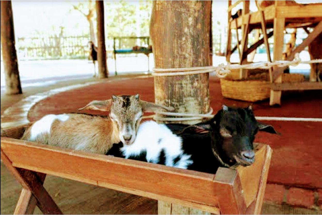 Olimpia Park Resort - Resort Em Olímpia Extérieur photo